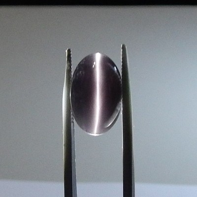 BEST 9.9ct IF Purple Cats-Eye Sillimanite Natural Earth Mined Unheated Oval Cab