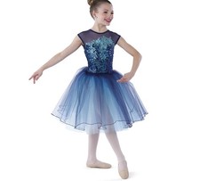 A Wish Come True Blue Floral Dreamwork Romantic Tutu Ballet Dance Outfit Sz SC