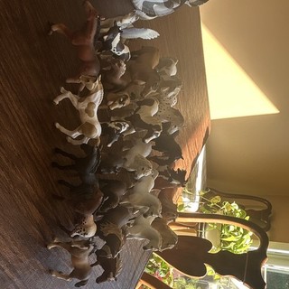 Lot of 24 Schleich model horses 10 foals 4 mini horses 10 full size!