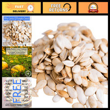 Lightly Sea Salted Pumpkin Seeds 1 lb - Small Batch Roasted, In-Shell, Resealabl 33.99 per gallon