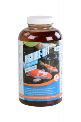 Microbe Lift Clean & Clear 1Liter Bakterien