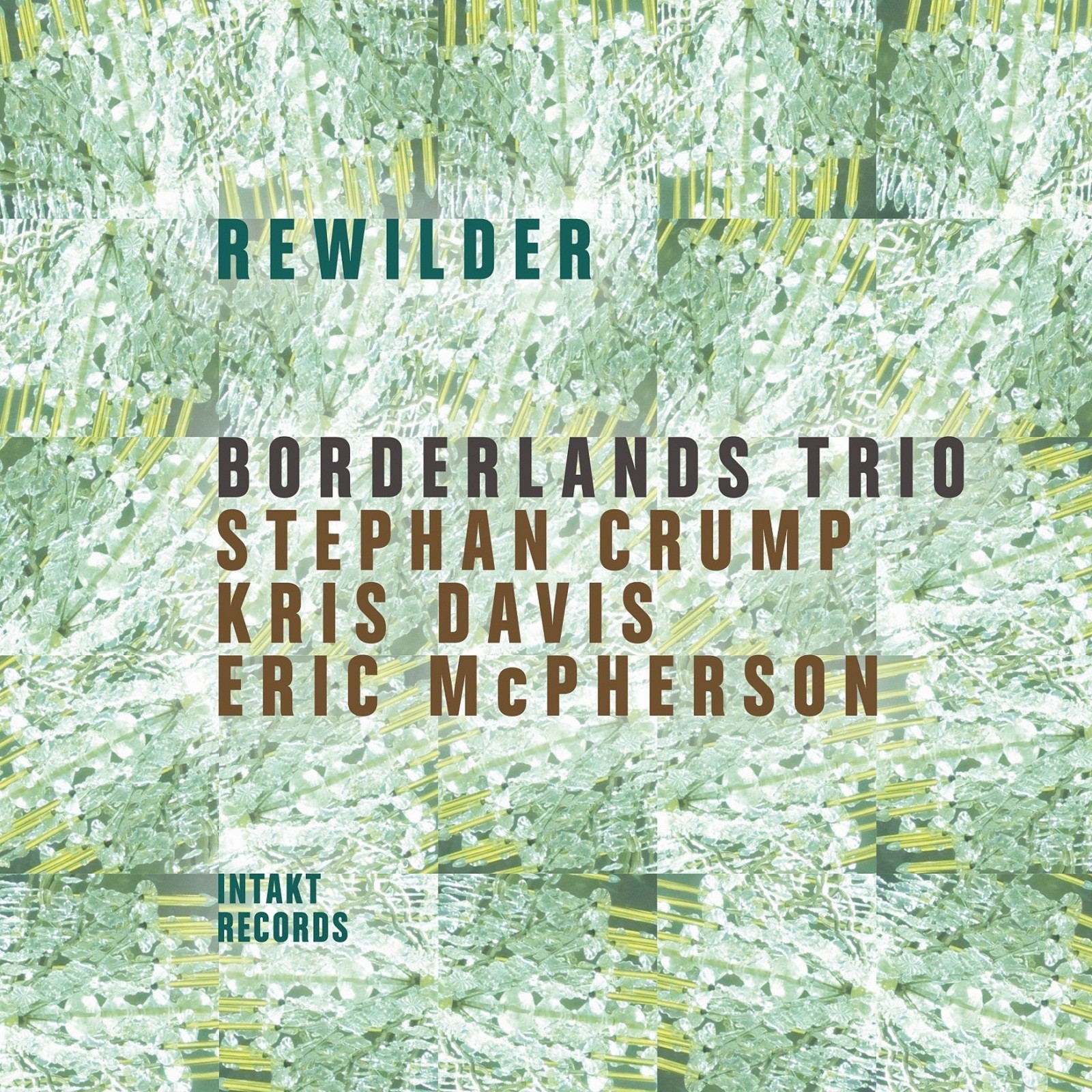 Borderlands Trio Rewilder CD NEW