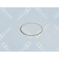 Dichtung, Zylinderlaufbuchse FüR Mercedes Benz OM 501 LA OM 502 LA 541 011 00 59