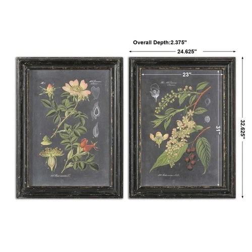 UTTERMOST 56053 MIDNIGHT BOTANICALS AGED WOOD BLACK FRAMED ART PRINTS SET OF 2 - Picture 4 of 4