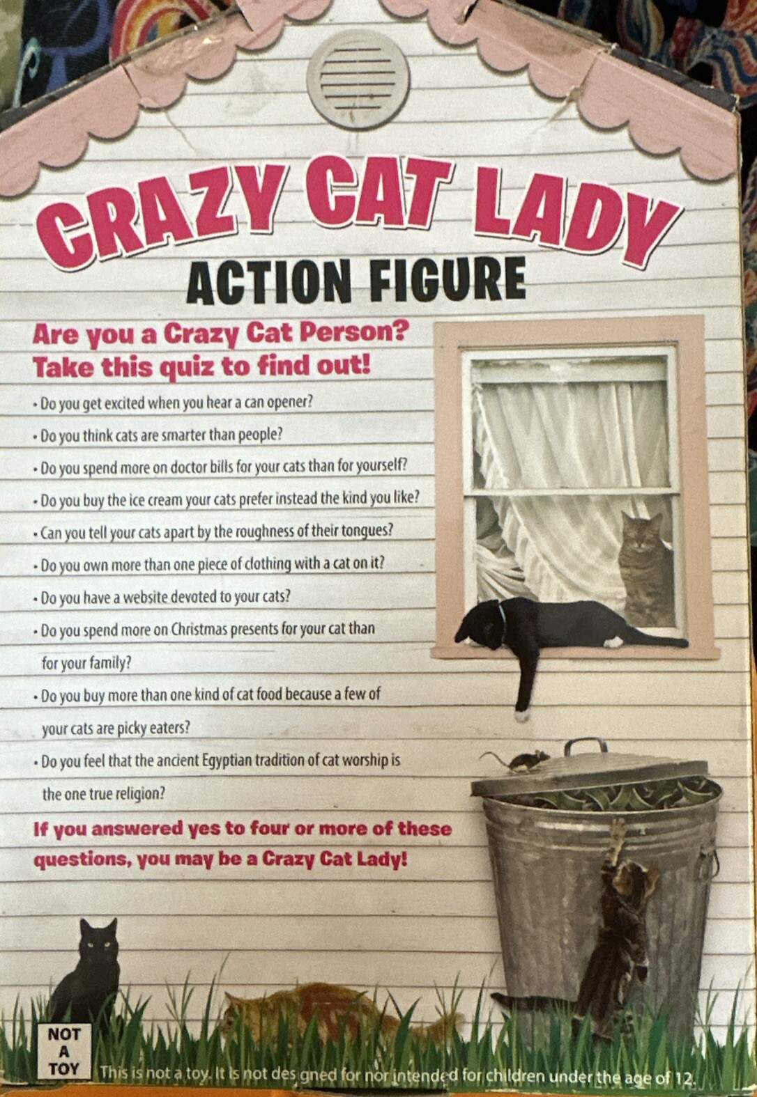 CRAZY CAT Lady 5.25" Action Figure Set with 6 Cats Kittens Archie McPhee