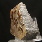 Foto 13 di 14