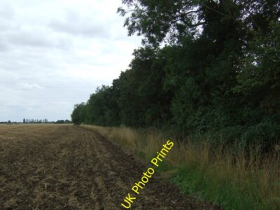 Photo 6x4 Field beside Lady Wood Sandy/TL1649 Just off the A603. c2015