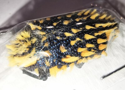 Buprestidae Julodis viridipes (?) 27-28mm A1 from RSA - #1902 | eBay