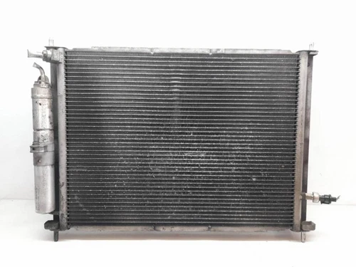 8200688390 Radiador Agua para RENAULT CLIO III Dynamique 2008 1719042 - Imagen 2 de 9