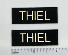 THIEL Speaker Badge Logo Emblem Incised Raised Text Custom Made Pair 
