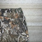 Foto 3 di 4