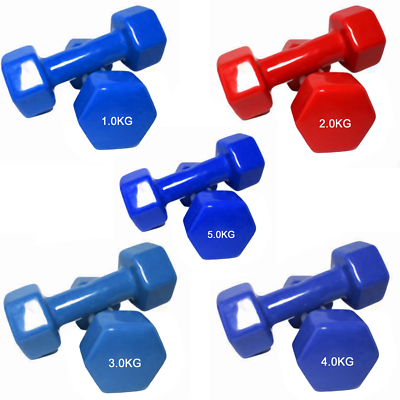 ebay dumbells