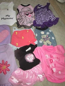 9 Small Luxury Pet Couture Lois Dog Doggy Dresses Top Paw Shirts Martha Stewart