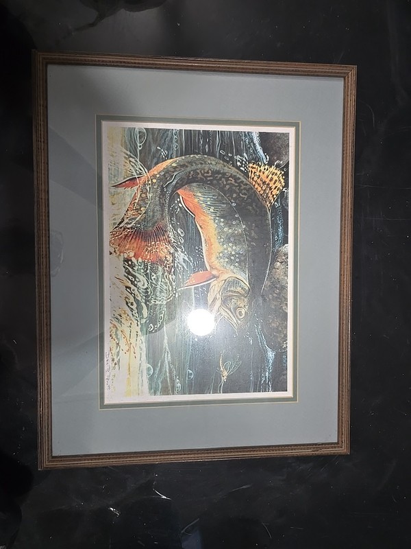 Framed Signed Print Peacock Bass Dan Perotti Wildlife Art Painting