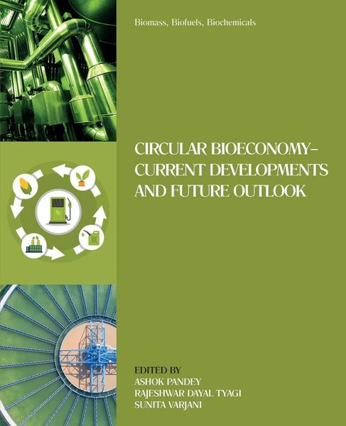 Biomass, Biofuels, Biochemicals Ashok Pandey (U. A.) Taschenbuch Englisch 2021-image