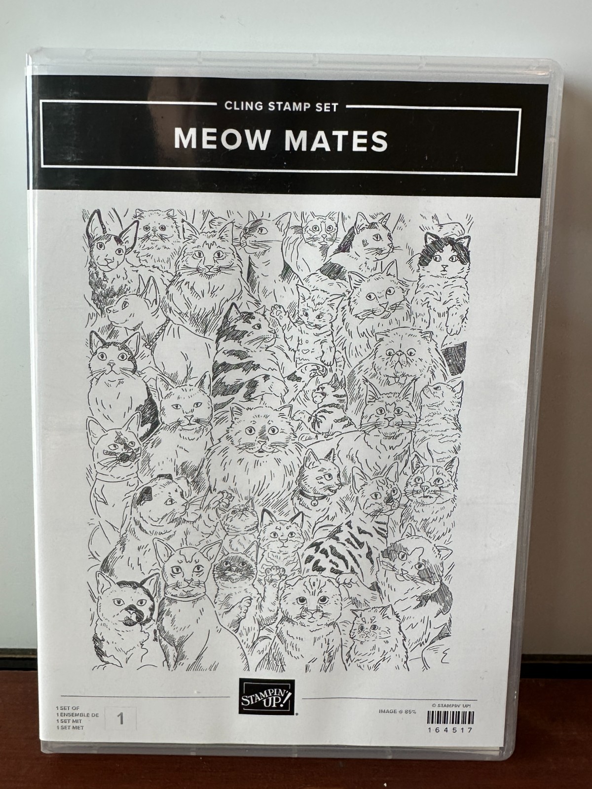 Stampin Up! MEOW MATES Rubber Stamp Set Background Cats Kitty Pets New SO CUTE!!