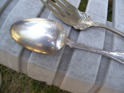 スプーンページ 1847 Rogers Bros. A1 VINTAGE (Grapes) 1904 Pattern SERVING