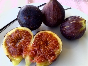 Skoura-vavatsika-Greek-Variety-2-fresh-fig-cuttings