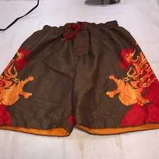 Speedo Boys' Redondo Volley Swim Shorts, Large 28" waist Dragon Flames