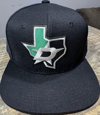 Dallas Stars Collecting and Fan Guide 15