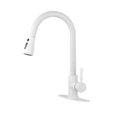 PA Kitchen Faucet with Pull Out Spraye
