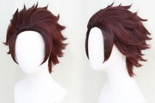Demon Slayer Kimetsu no Yaiba Kamado Tanjirou Cosplay Wig Perruque