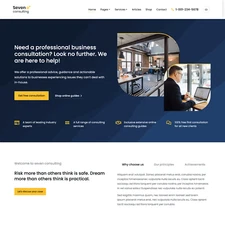 Business Consulting Websites Design for Sale with Free VPS Web Hosting