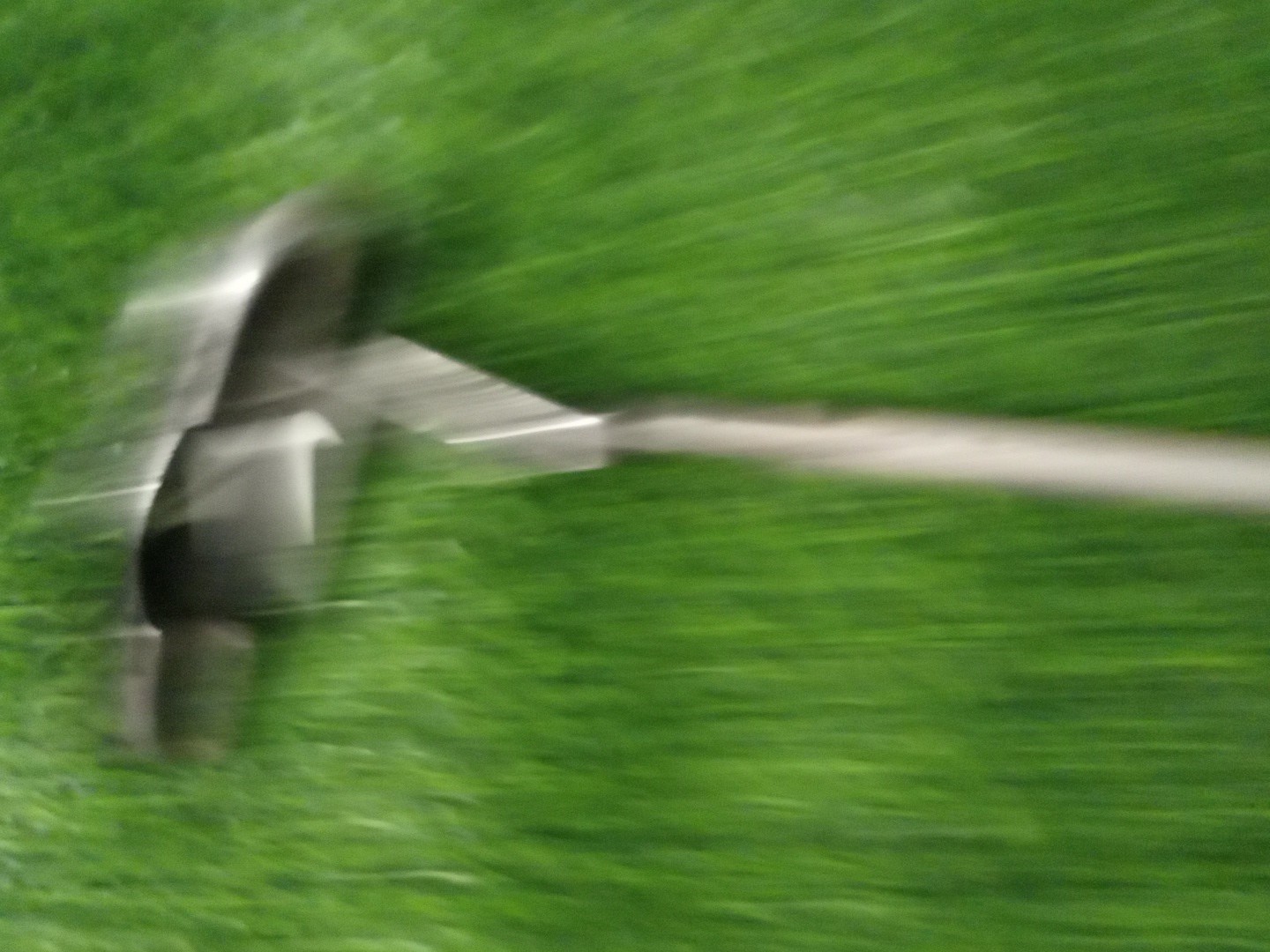 Nike IC 2010A Blade Plumbers-Neck 35'5" Putter Golf Club RH thumbnail 20