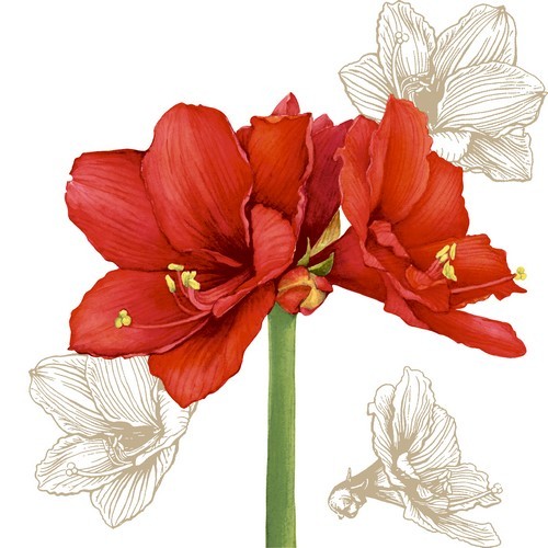 20 Servietten Blossom Red Amarylis Blumen Pflanzen BlüTen Weihnachten 33X33Cm-image