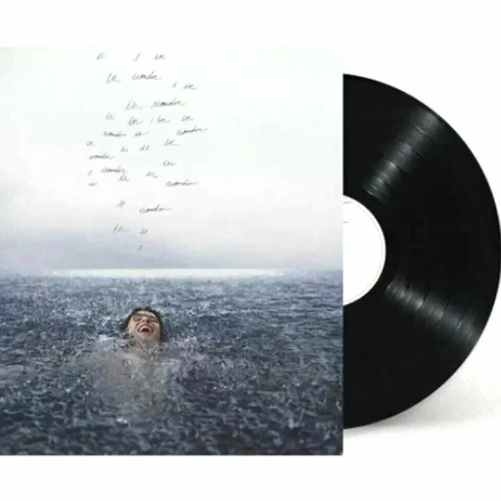 SHAWNページ Shawn Mendes - Handwritten - Music & Performance - Vinyl - Walmart.com