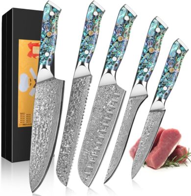 Damascus Chef's knife Hand forged VG10 steel cooking knife Abalone shell handle
