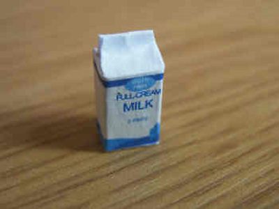 Puppenhaus Miniaturen 1:12 Karton Milch (kein echter Inhalt)