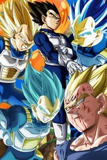 Dragon Ball Z Super Vegeta Five Several Forms POSTER 24 X 18" SWEET!