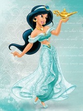 Princess Jasmine Disney cosplay/costume ADULT
