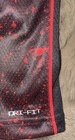 Foto 6 di 10