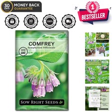 Organic Comfrey Seeds for Home Remedies - Instructions Included for Easy Growth