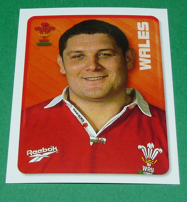 #178 ROGERS WALES MERLIN IRB RUGBY WORLD CUP 1999 PANINI