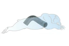 Discovery 2 4.0 Landrover V8 Bottom Radiator to Thermostat Hose- PCH119020