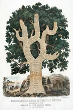 7513.Decoration Poster.Home Room design.Chronological Chart of American history