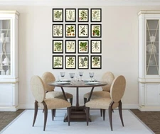Herbs and Spices Prints Botanical Set of 16 Beautiful Antique Vintage Unframed