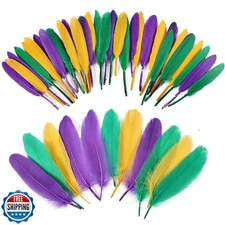 iHUFeather 270pcs Mardi Gras Goose Feathers for Crafts 2 Styles 4-7 inch Bulk