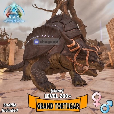 Ark Survival Ascended PVE NEW DINO GRAND TORTUGAR    200+