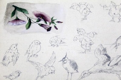 old sketchbook with drawings - loose sheets, signed P. Hornig 1894 - 1898