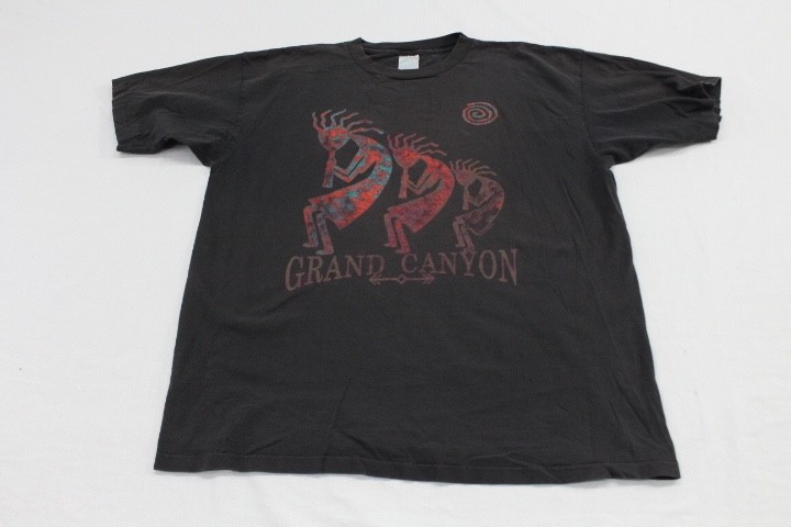 Vintage Grand Canyon Prairie Mountain T Shirt Mens XL Single Stitch USA Made
