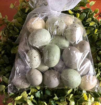 Set 12 Realistic Earth Colored Eggs Speckled Bird Eggs 1- 1 1/2  Easter Eggs