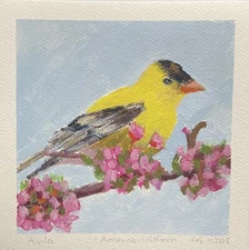 Maria Avila “American Goldfinch ”bird Art 8x8 Original on Paper, unframed