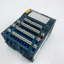 SCHLEICHER RIO 16 O Digital input module  provides 16 output channels