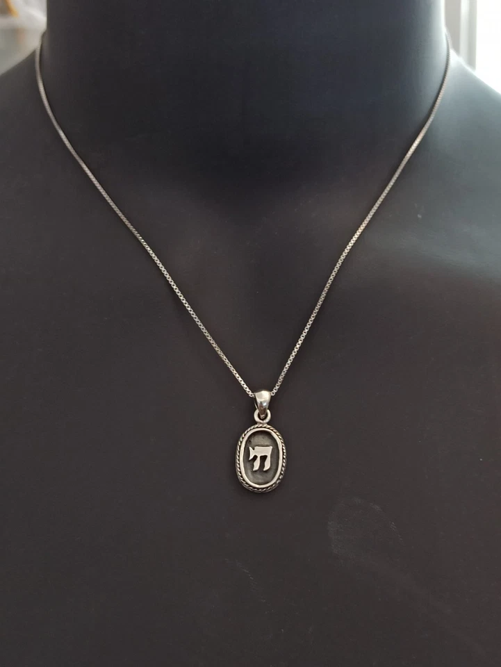 Collar Chai Para Hombre Plata de Ley 925 Ovalada Enmarcada Cuerda Alta Gama Regalo חי Foto 4 de 4