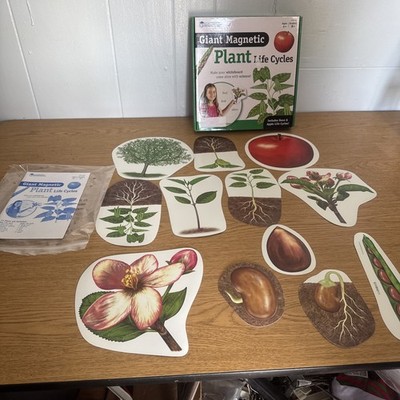 Learning Resources Giant Magnetic Plant Life Cycle - 12 Pieces