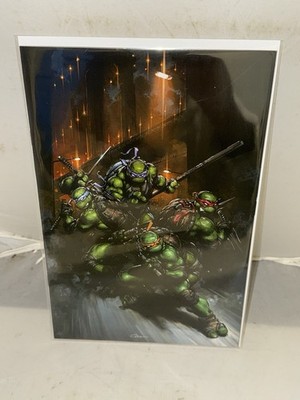 Teenage Mutant Ninja Turtles #13 1:50 Clayton Crain Virgin Variant 2025 IDW